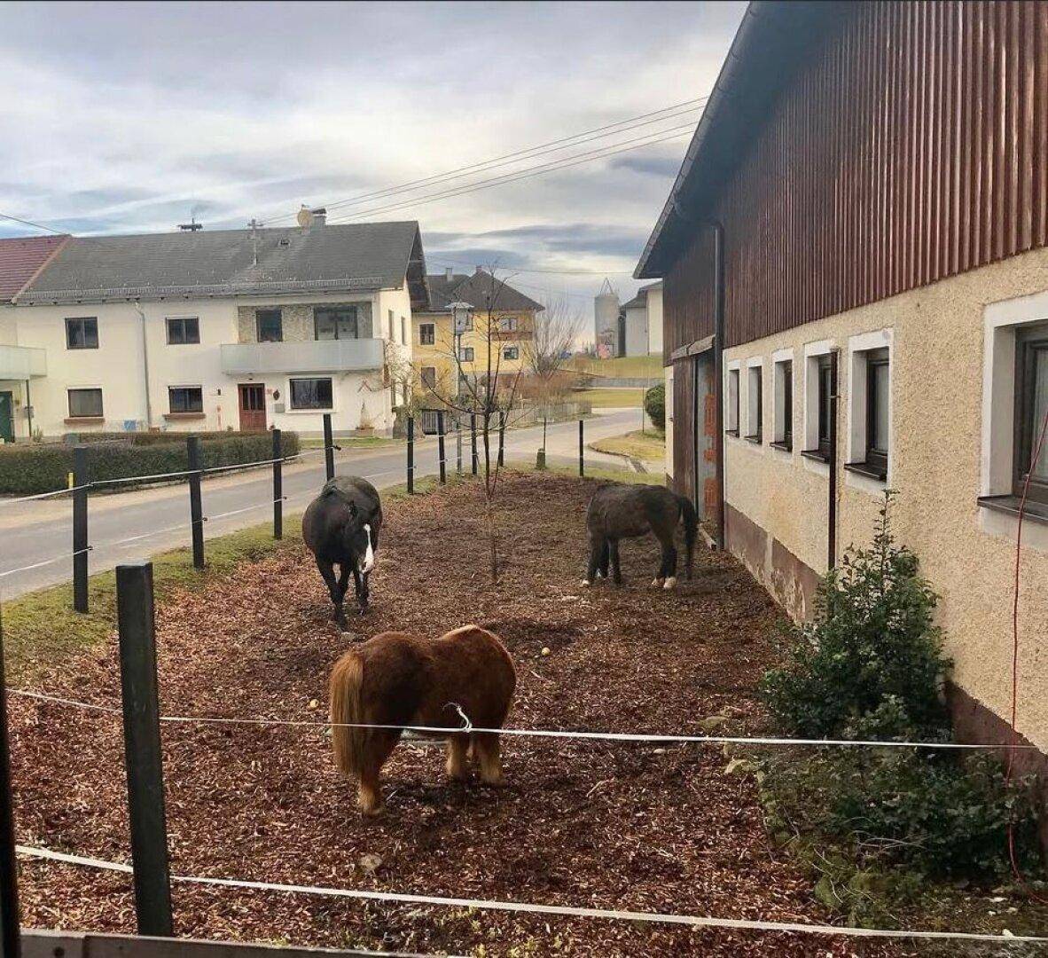 Ländliches Anwesen mit Pferden auf einem eingezäunten Grundstück und Blick auf die Umgebung.