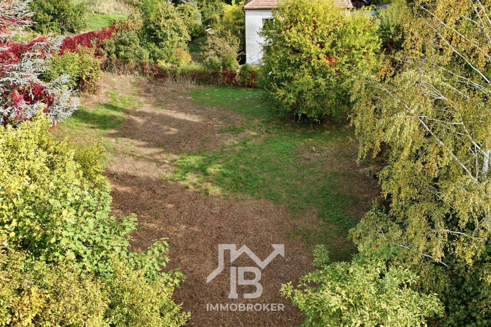 Detailansicht eines unbebauten Grundstücks mit Grasflächen und vereinzelten Bäumen.