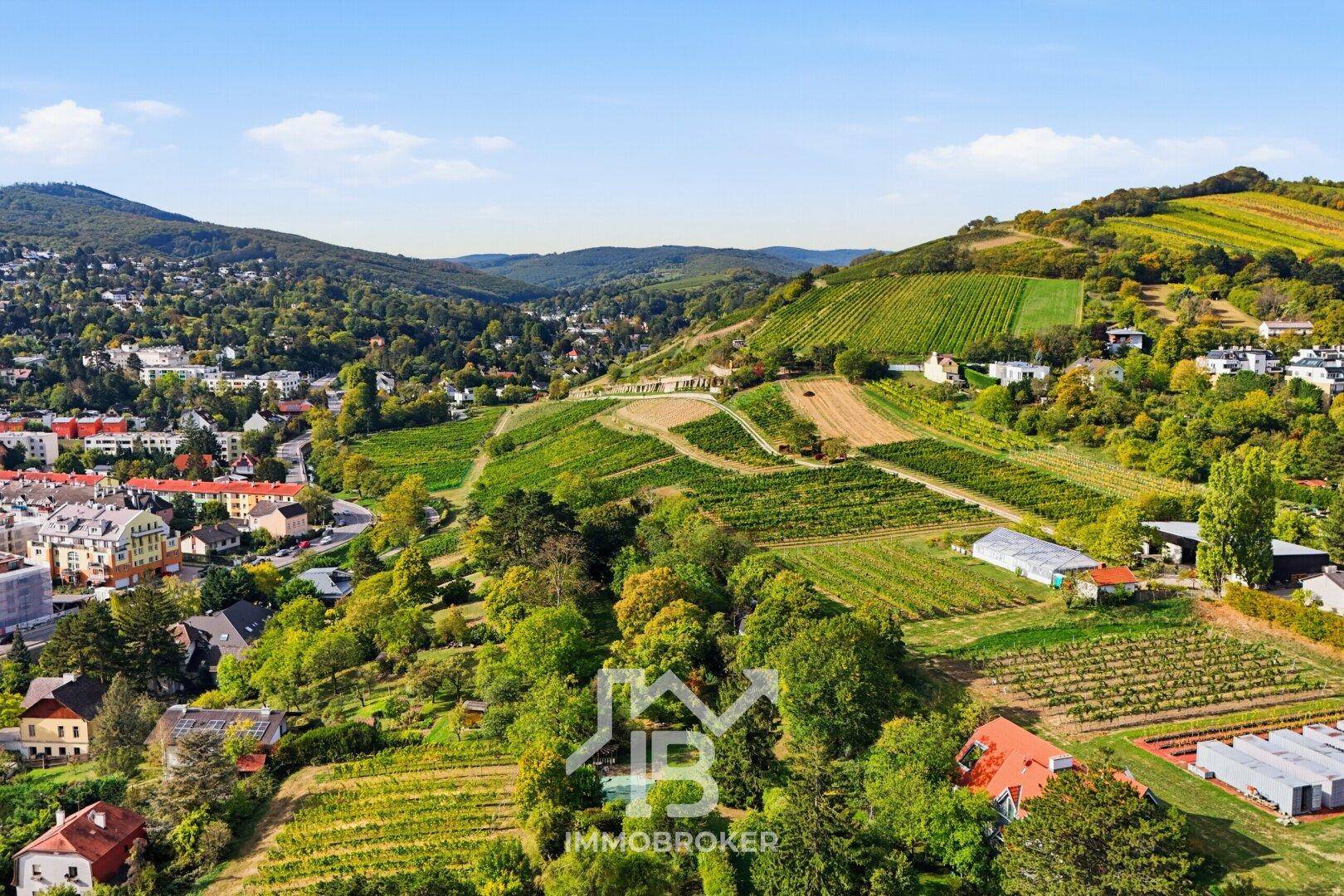 Malerische Hügellandschaft mit Weinbergen, Wohngebieten und weitem Blick in die Ferne.
