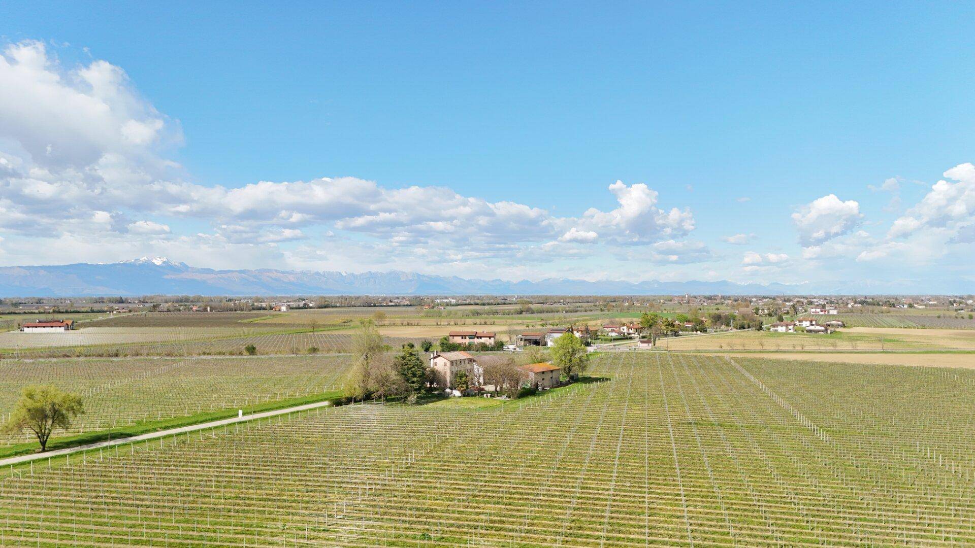 Panoramablick aus der Vogelperspektive auf weite Weinberge, Felder und das Anwesen in der Ferne.