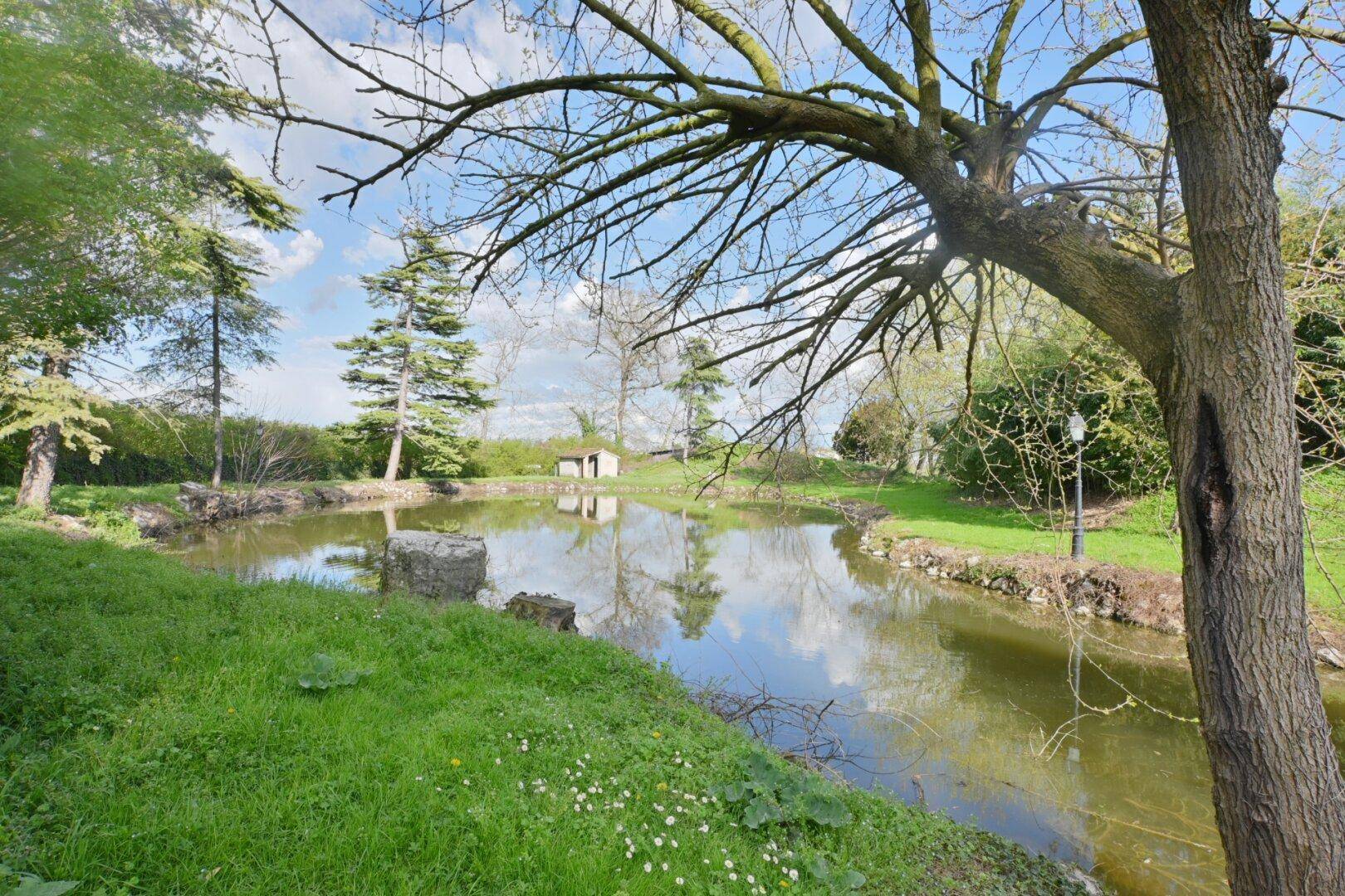 Idyllischer Teich im Gartenbereich mit Bäumen, grünen Ufern und einem kleinen Schuppen im Hintergrund.