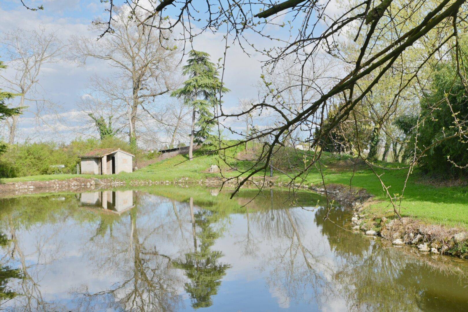 Ruhiger Teich mit Spiegelungen, umgeben von üppigem Grün und einem kleinen Gebäude am Ufer.