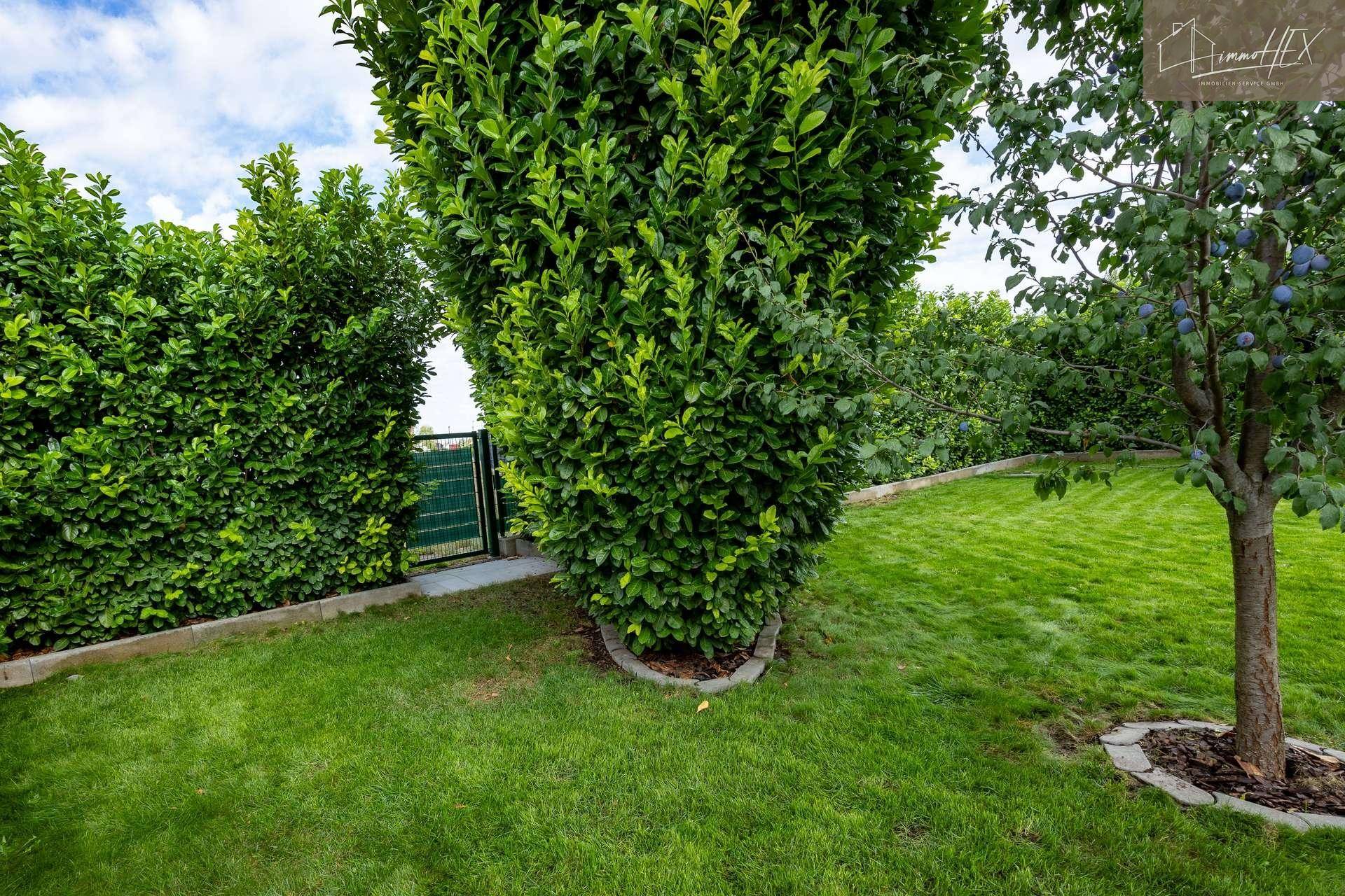 Grüner Gartenbereich mit hohen Hecken und einem kleinen Tor, das den Zugang ermöglicht.