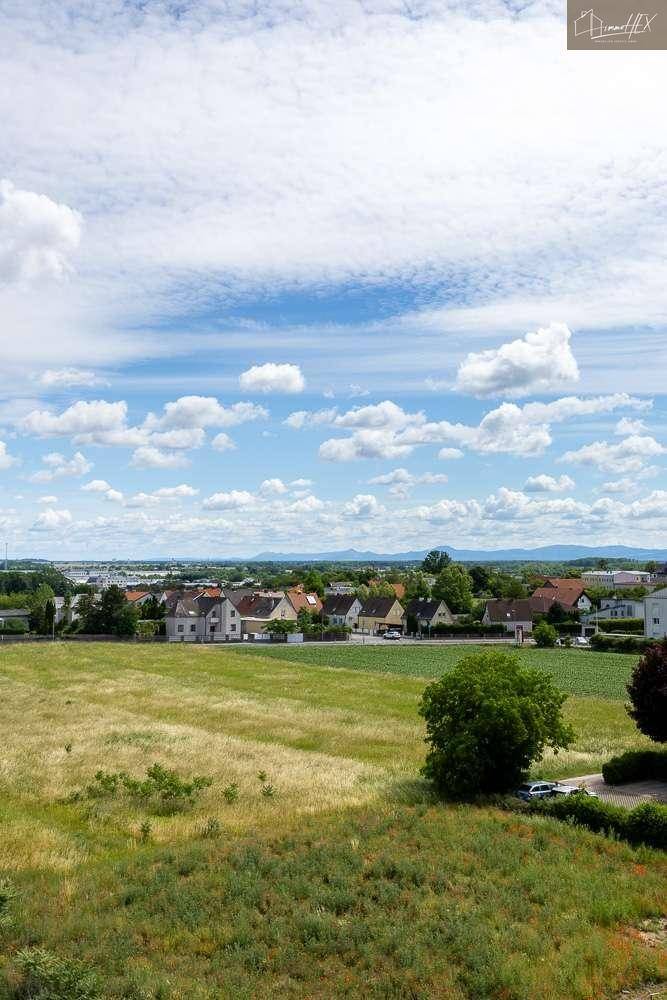 Ausblick