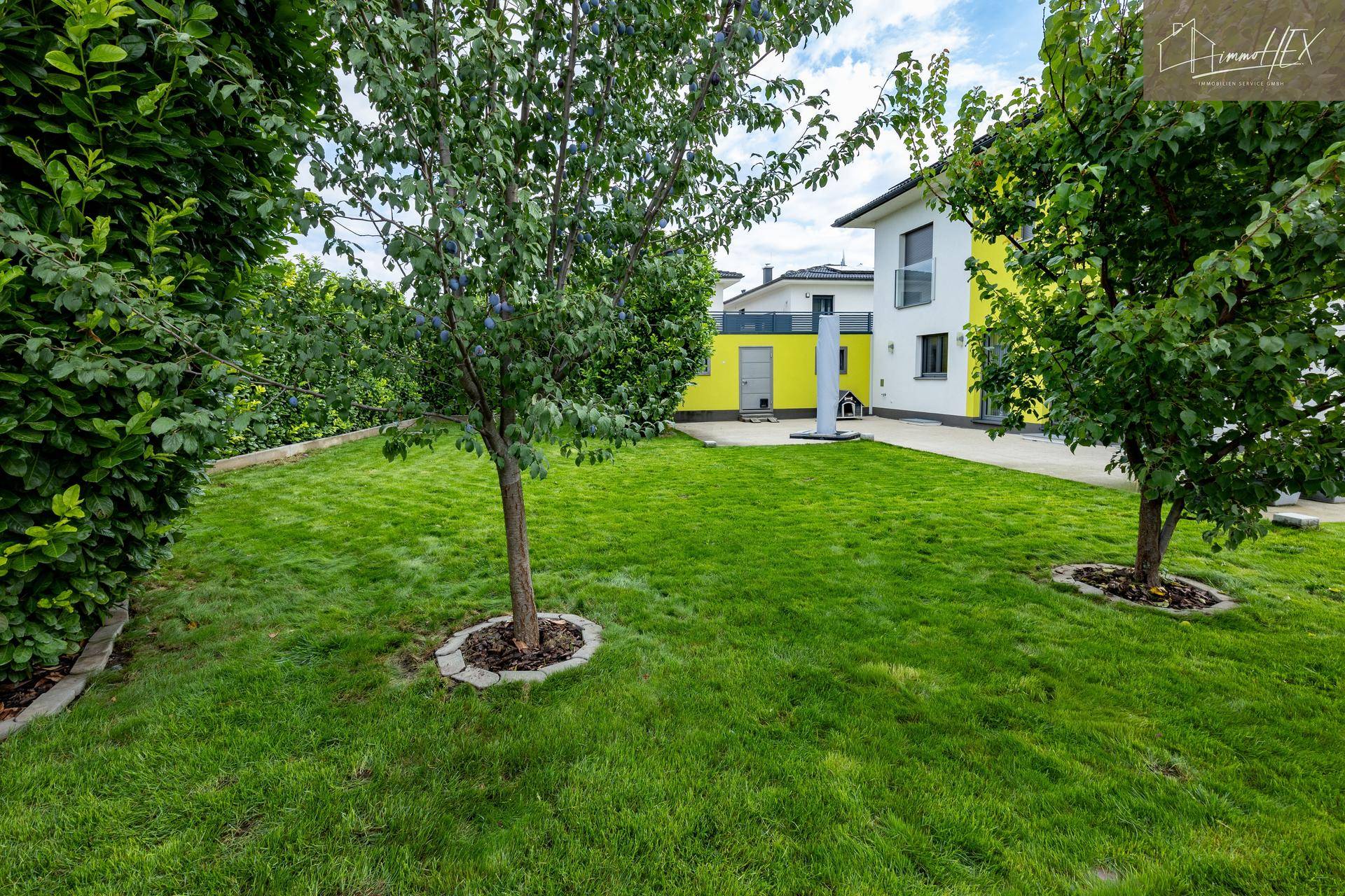 Weitläufiger Gartenbereich mit gepflegtem Rasen und jungen Obstbäumen unter blauem Himmel.