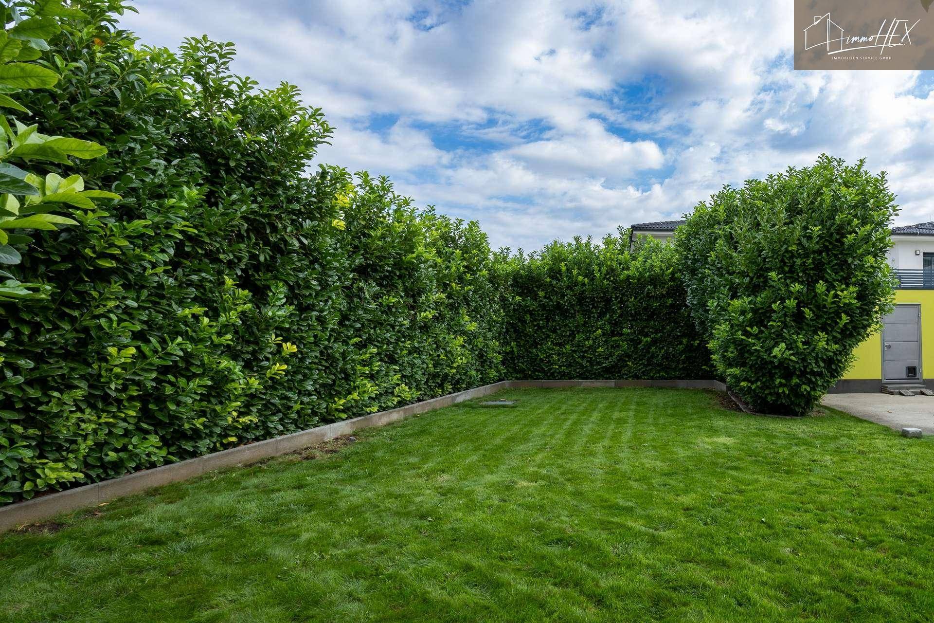 Gepflegter Rasenbereich im Garten, umgeben von hohen, dichten Hecken für Privatsphäre.