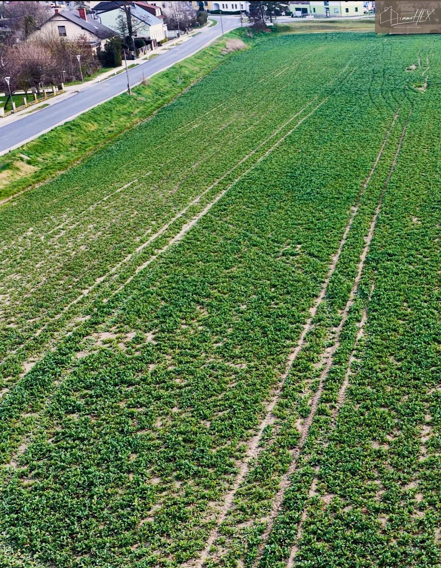 Mehrere Baugrundstücke in Franzensdorf bei Groß-Enzersdorf – ab ca. 741 m² in ruhiger Lage - Ansicht 2