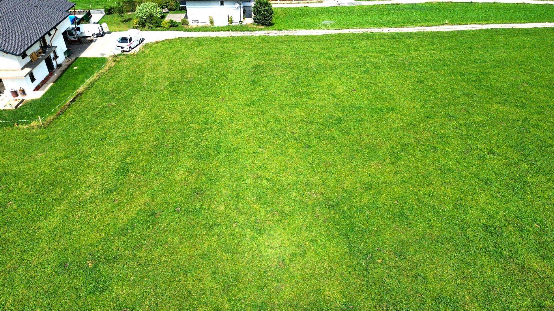 Luftaufnahme einer großen grünen Wiese mit angrenzendem Wohnhaus und Straße.
