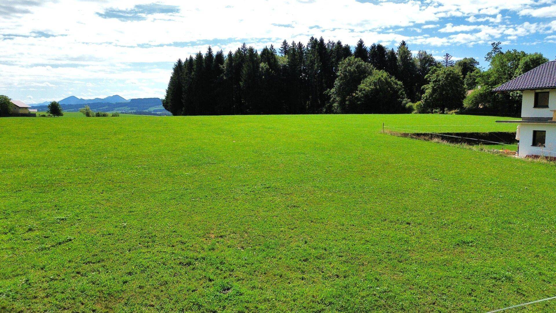 Grüne Wiese neben einem Wohnhaus mit Wald und Bergen am Horizont.