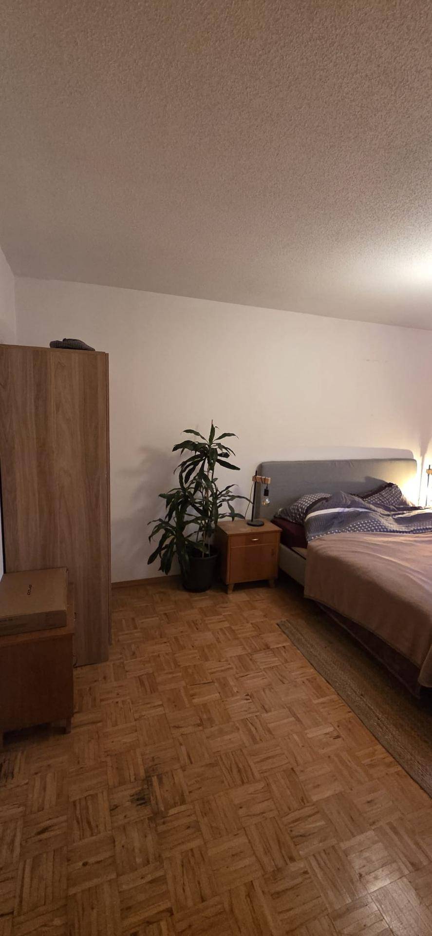 Schlafzimmer mit Parkettboden, Kleiderschrank und Pflanzen für eine angenehme Atmosphäre.