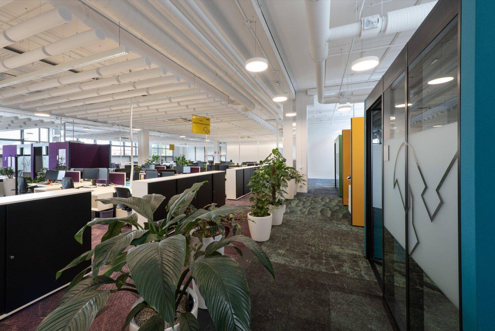 Büro und Seminarflächen 350 m² bis 2.800 m² zur Anmietung - Ansicht 2