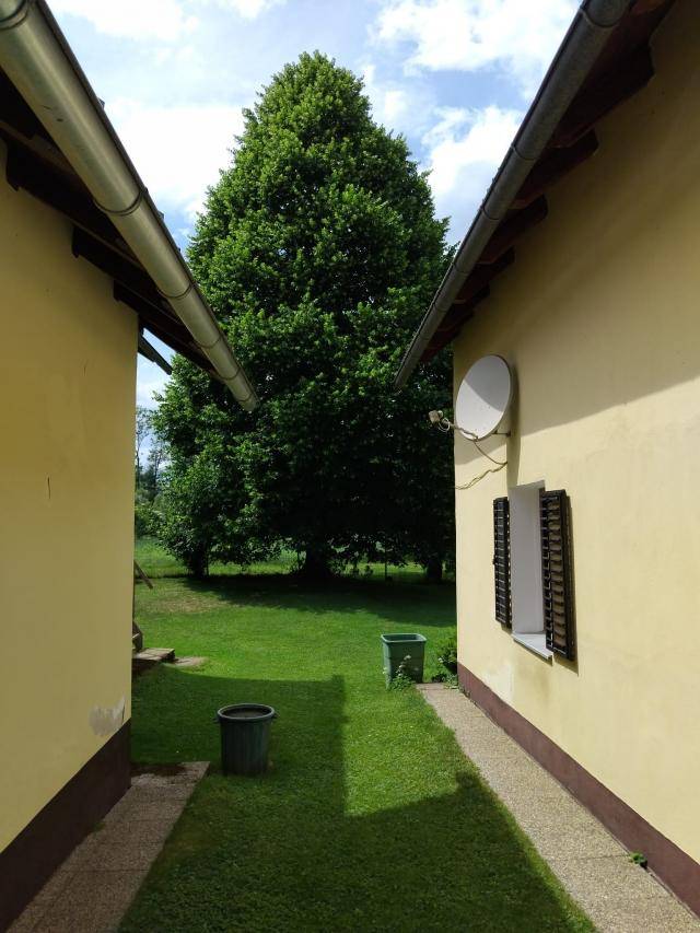 Schmaler Durchgang zwischen zwei Häusern, der zu einem großen Baum und einem grünen Garten führt.