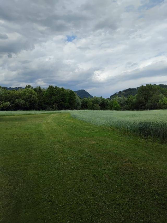 Weite grüne Felder mit bewaldeten Hügeln im Hintergrund unter einem bewölkten Himmel.