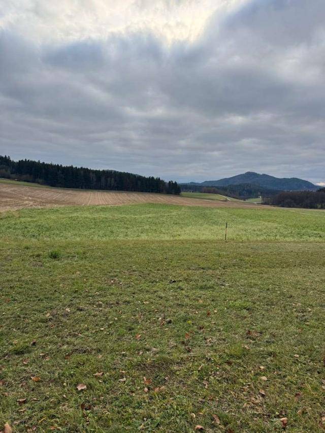 Ausblick auf grüne Wiesen und Ackerland, begrenzt von einem Waldrand und Bergen am Horizont.