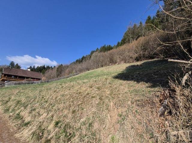 Grüner Hang mit Wald und einem traditionellen Holzhaus im Hintergrund unter klarem blauem Himmel.
