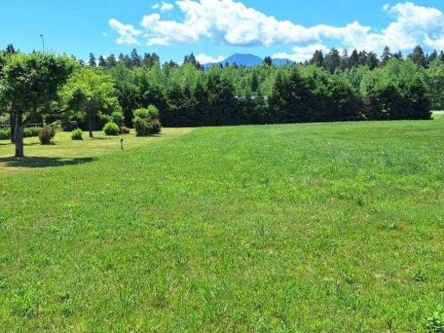 Weitläufige grüne Wiese mit Bäumen im Hintergrund und einem klaren Bergblick am Horizont.
