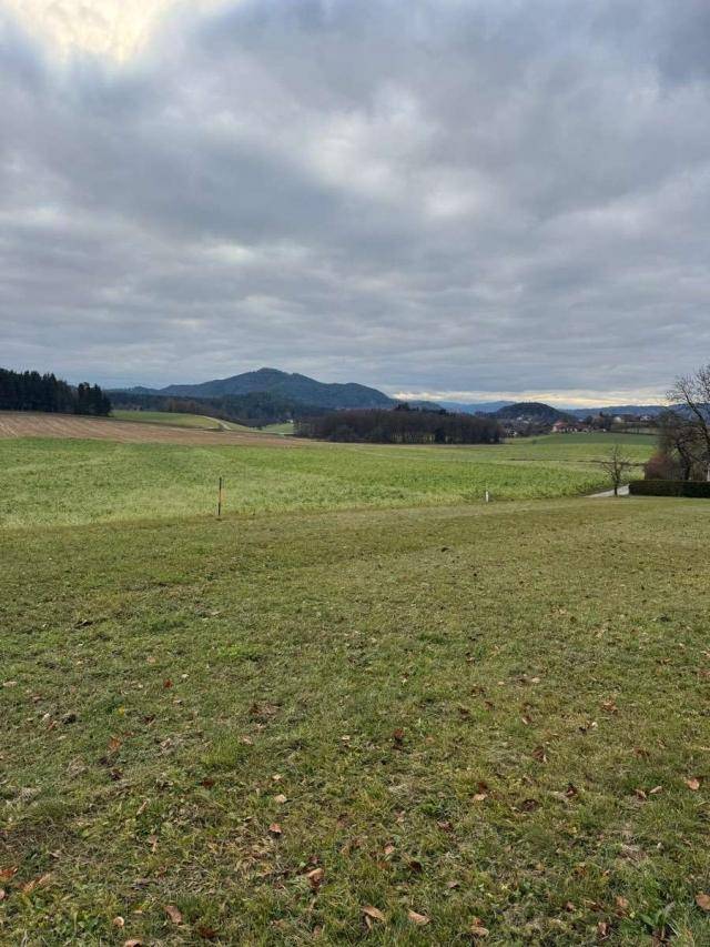 Panoramablick über weite grüne Felder mit sanften Hügeln und Bergen in der Ferne unter einem bewölkten Himmel.