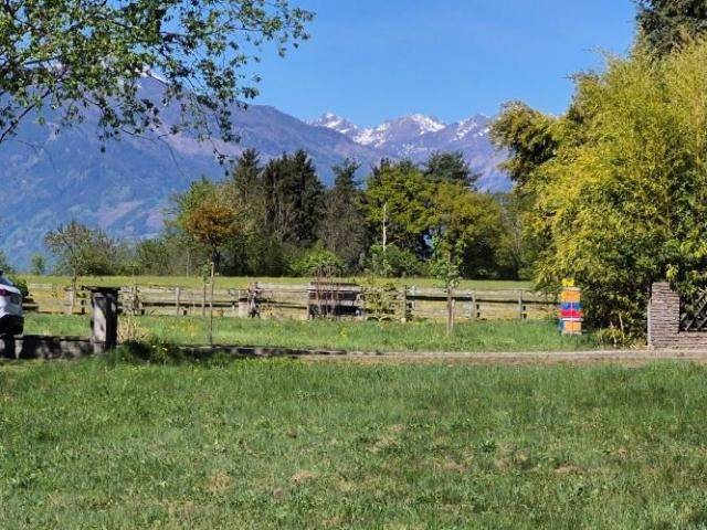 Weitläufiger Blick auf schneebedeckte Berge und grüne Landschaft unter strahlend blauem Himmel.