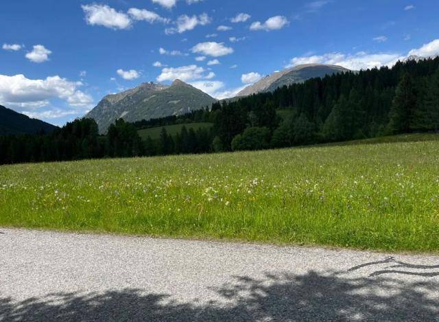Weite grüne Wiese mit majestätischen Bergen und dichtem Wald im Hintergrund unter strahlend blauem Himmel.