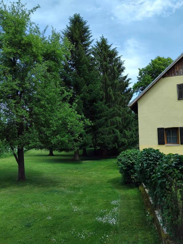 Großer grüner Garten mit hohen Bäumen und einer Hecke neben einem traditionellen Haus.