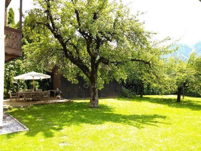 Großer Garten mit altem Obstbaum, Sitzbereich, Sonnenschirm und Grillplatz vor Bergkulisse.