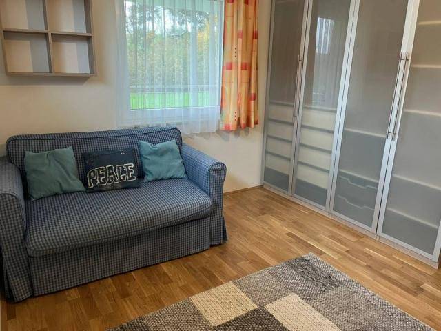 Gemütliches Zimmer mit Schlafsofa, Holzboden und großem Fenster mit Blick ins Grüne.