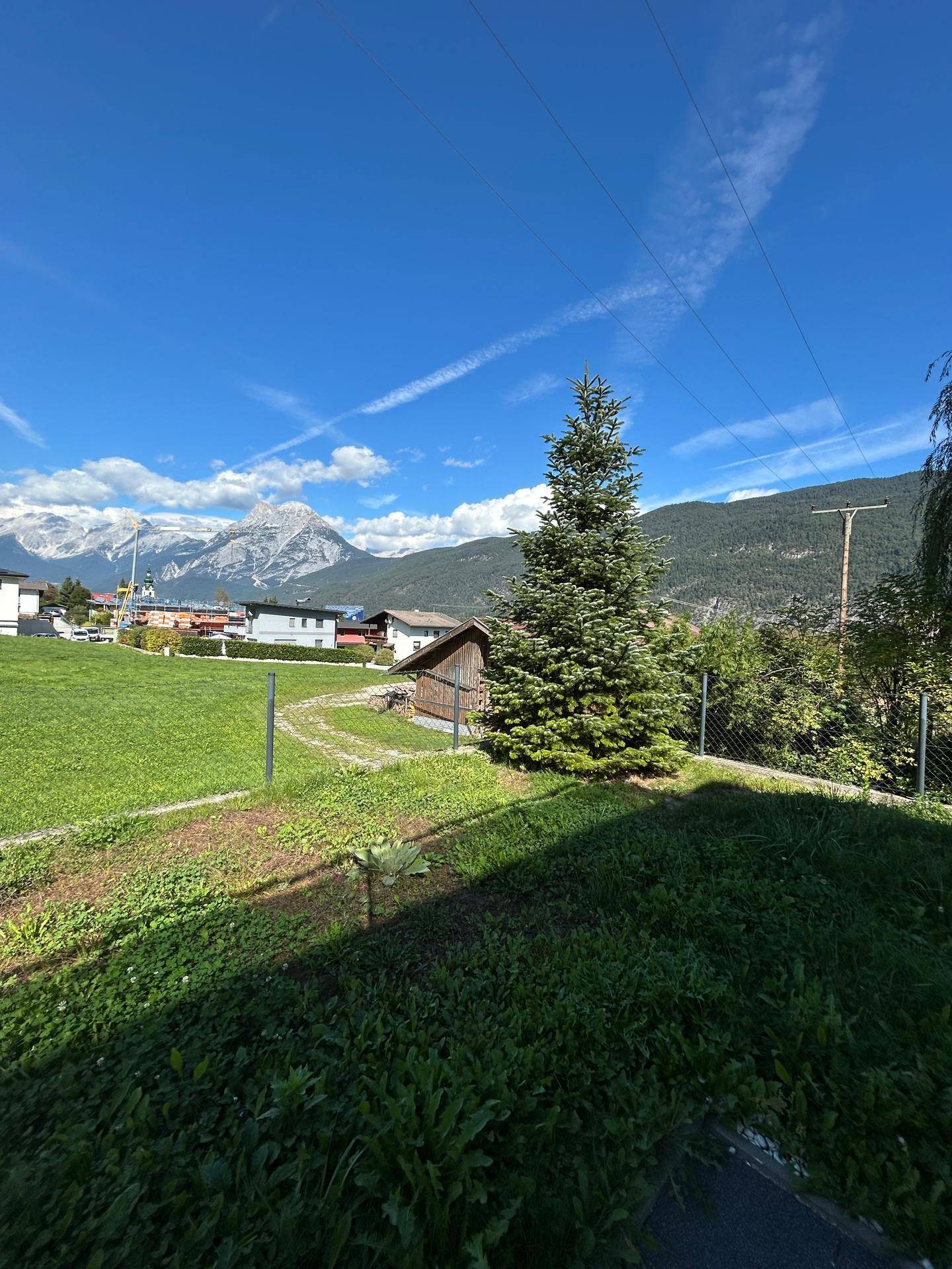 Weitläufige Grünfläche mit einem Baum und beeindruckendem Bergblick unter blauem Himmel.