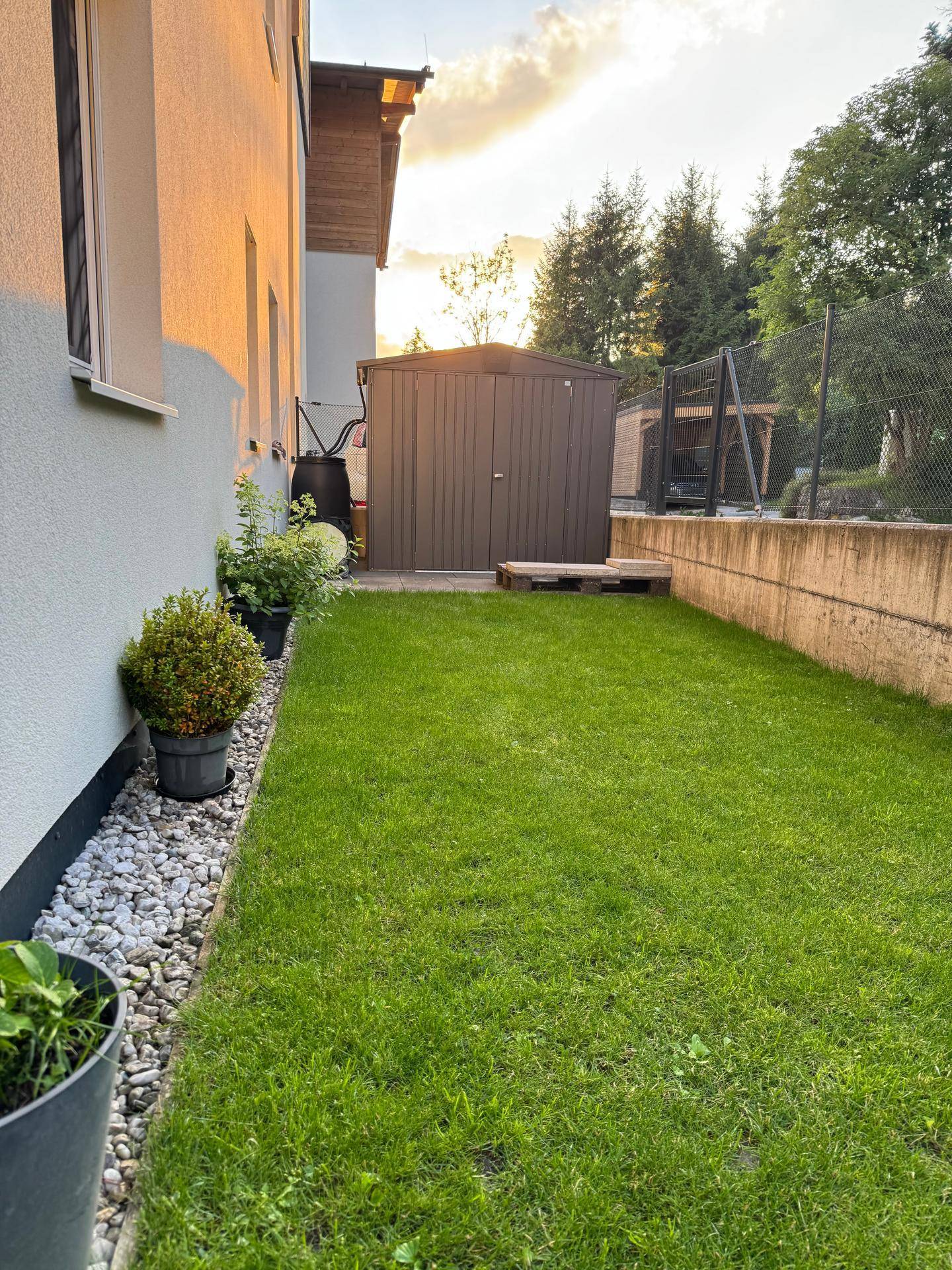 Gepflegter Gartenbereich neben dem Haus mit Rasenfläche, Gartenhaus und Abendsonne.