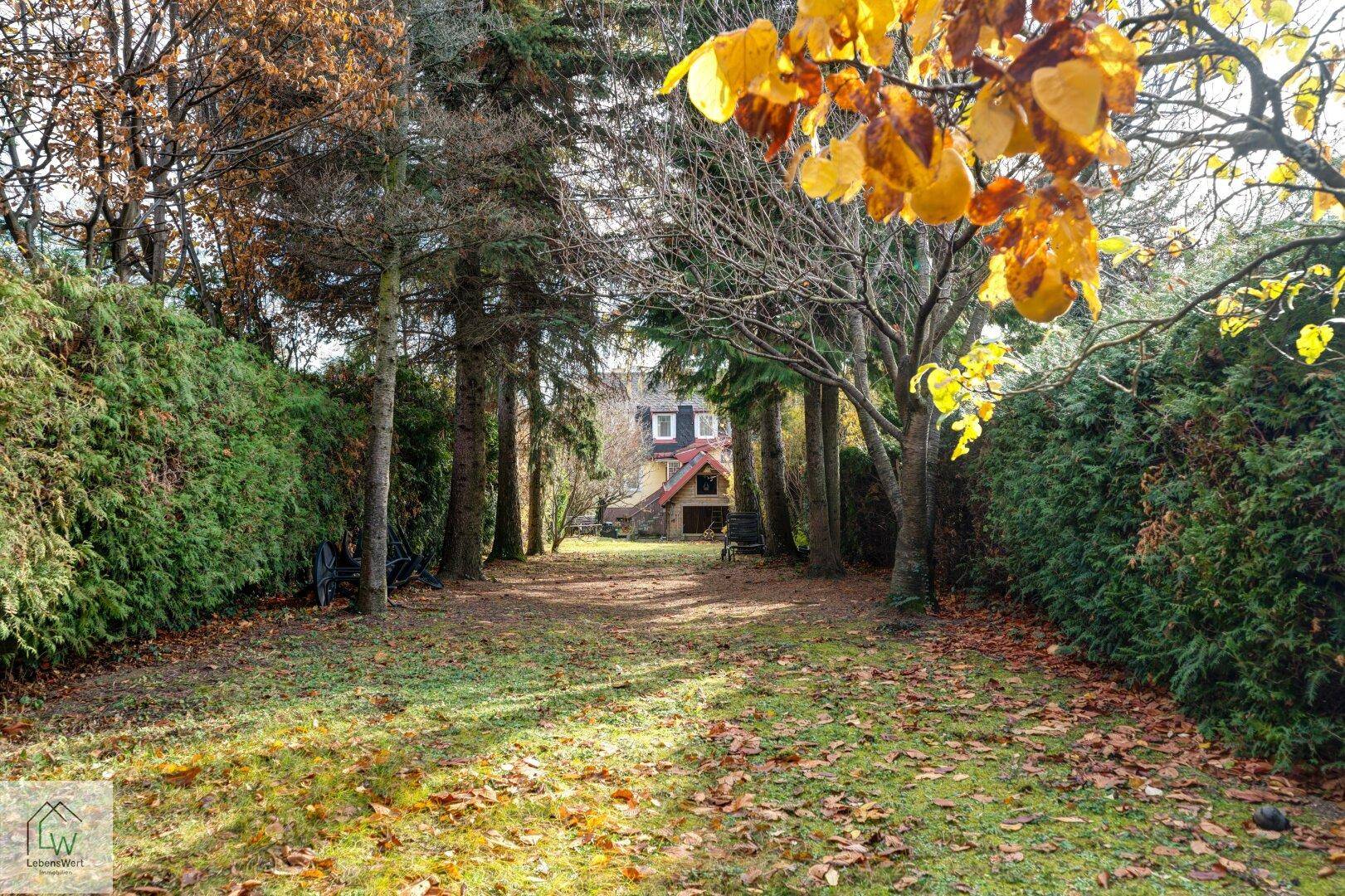 Langer Gartenweg, gesäumt von hohen Hecken und Bäumen, führt zum Haus.
