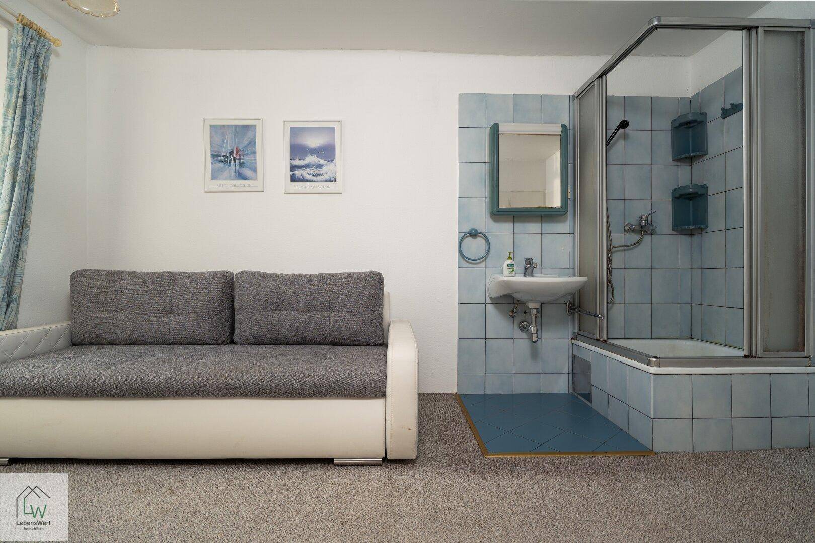 Schlafzimmer mit Teppichboden, Schlafsofa und integrierter Dusche und Waschbecken.