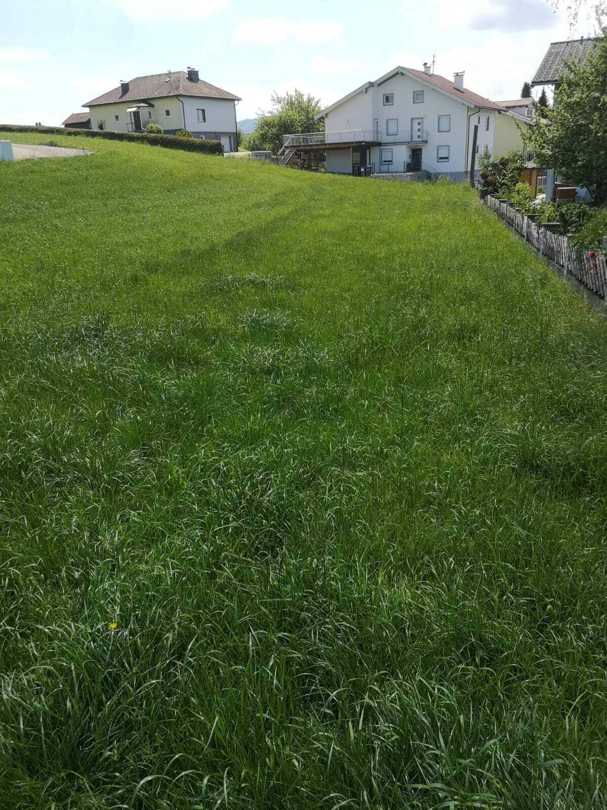 Grundstück 2