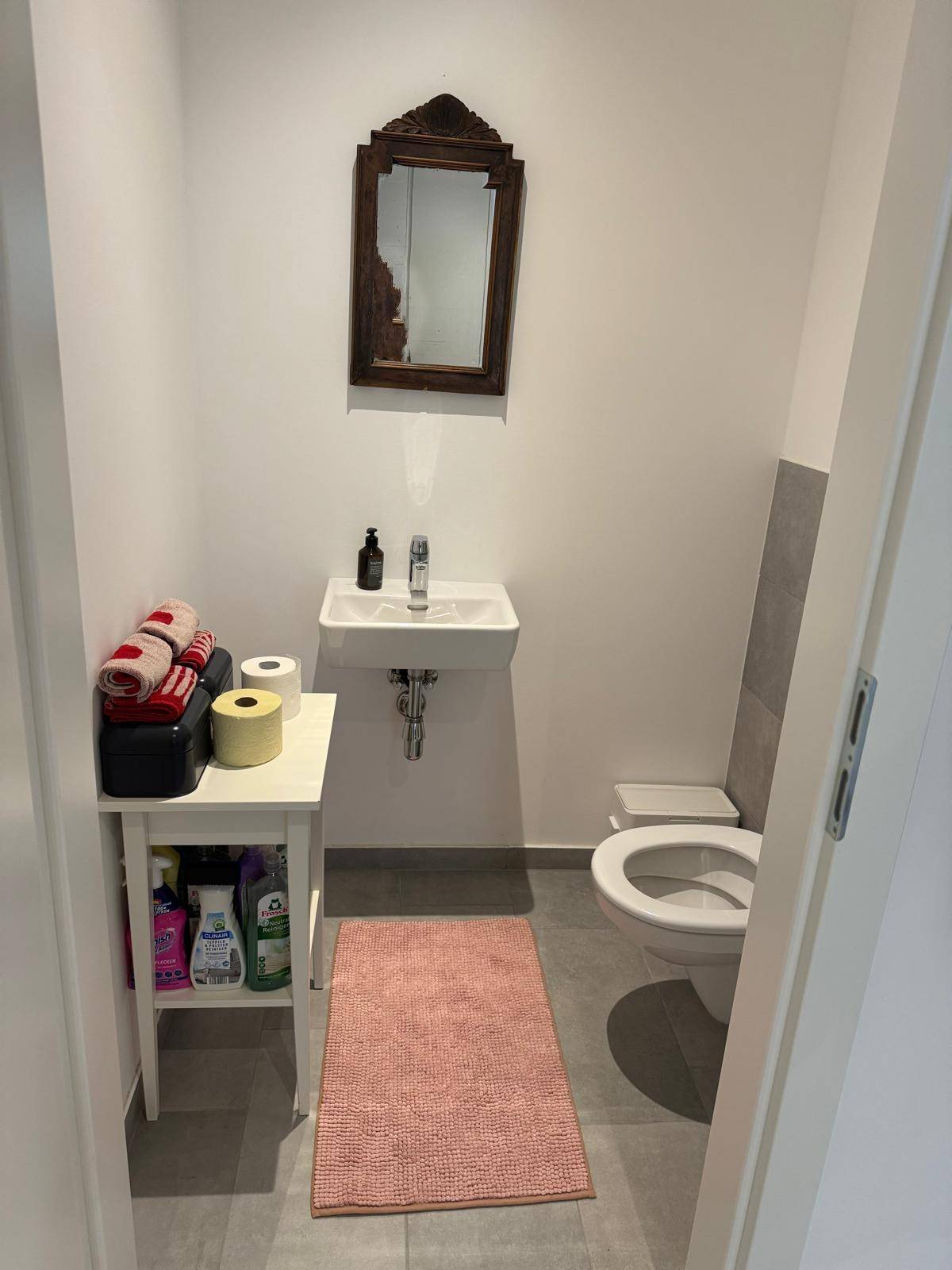 Kleines Gäste-WC mit Wand-WC, Waschbecken und einem dekorativen Spiegel.