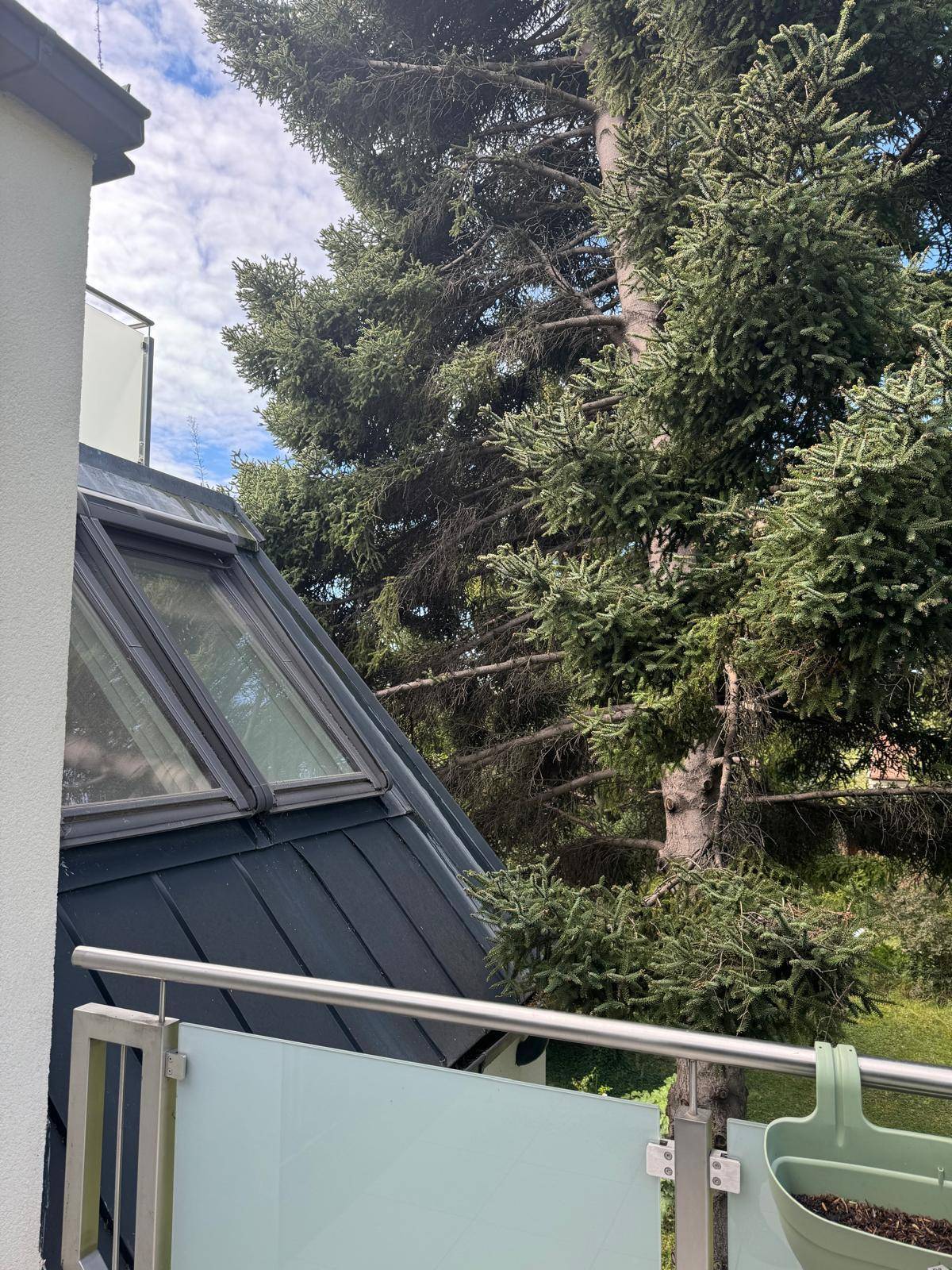 Balkon mit Blick auf das Dach des Gebäudes und hohe Nadelbäume unter blauem Himmel.