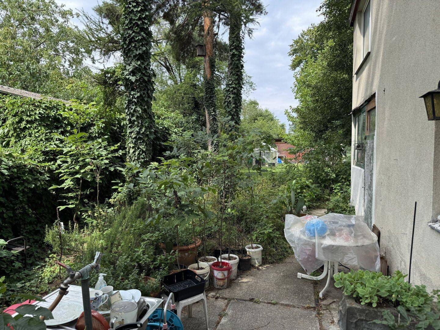 Seitenansicht des Hauses mit gepflastertem Bereich, provisorischer Spüle und vielen Topfpflanzen.