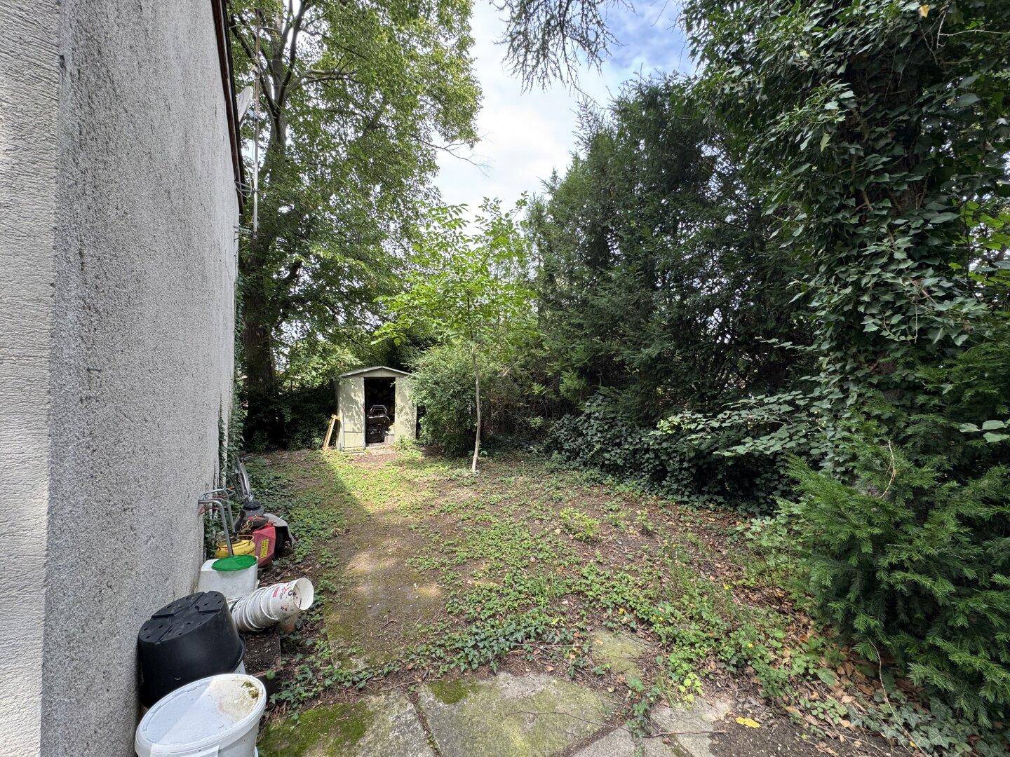 Kleiner, etwas ungepflegter Rasenbereich neben dem Haus mit einem Gartenschuppen im Hintergrund.
