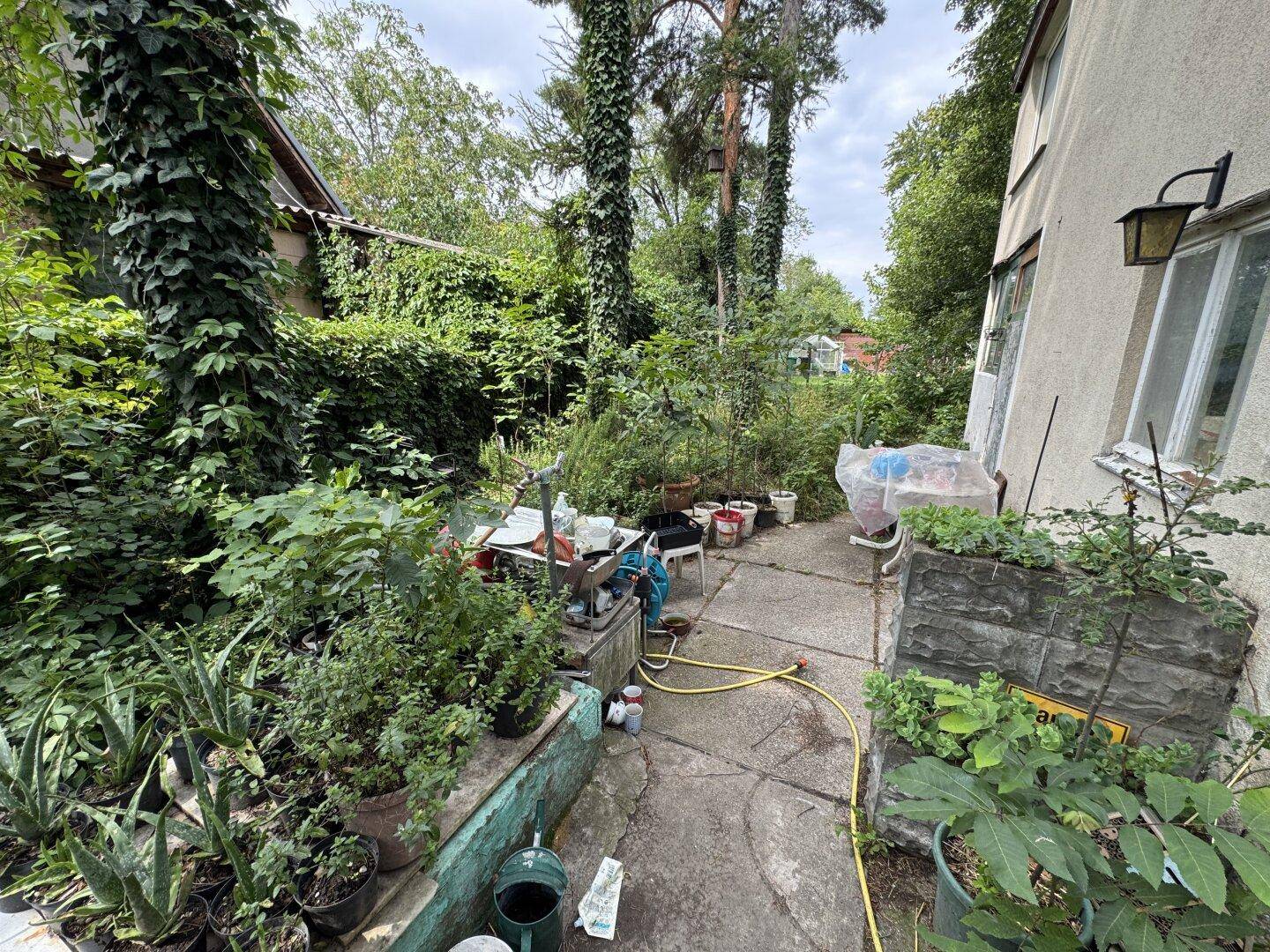 Weitere Ansicht der Hausseite mit zahlreichen Topfpflanzen, Gartenschlauch und dichter Vegetation.