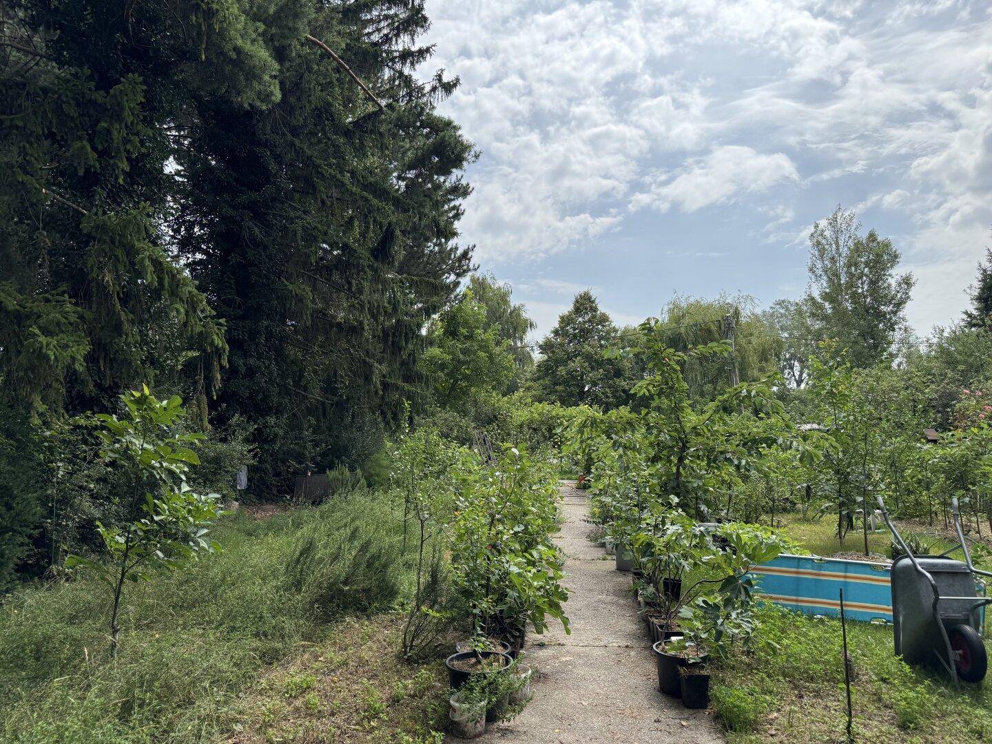 Gartenweg mit Topfpflanzen an den Seiten, führt in eine üppig grüne Landschaft mit Schubkarre.