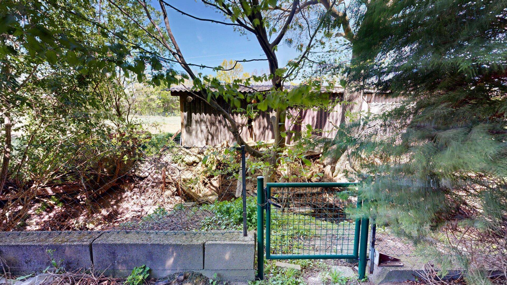 Naturbelassener Gartenbereich mit altem Schuppen und Bäumen.