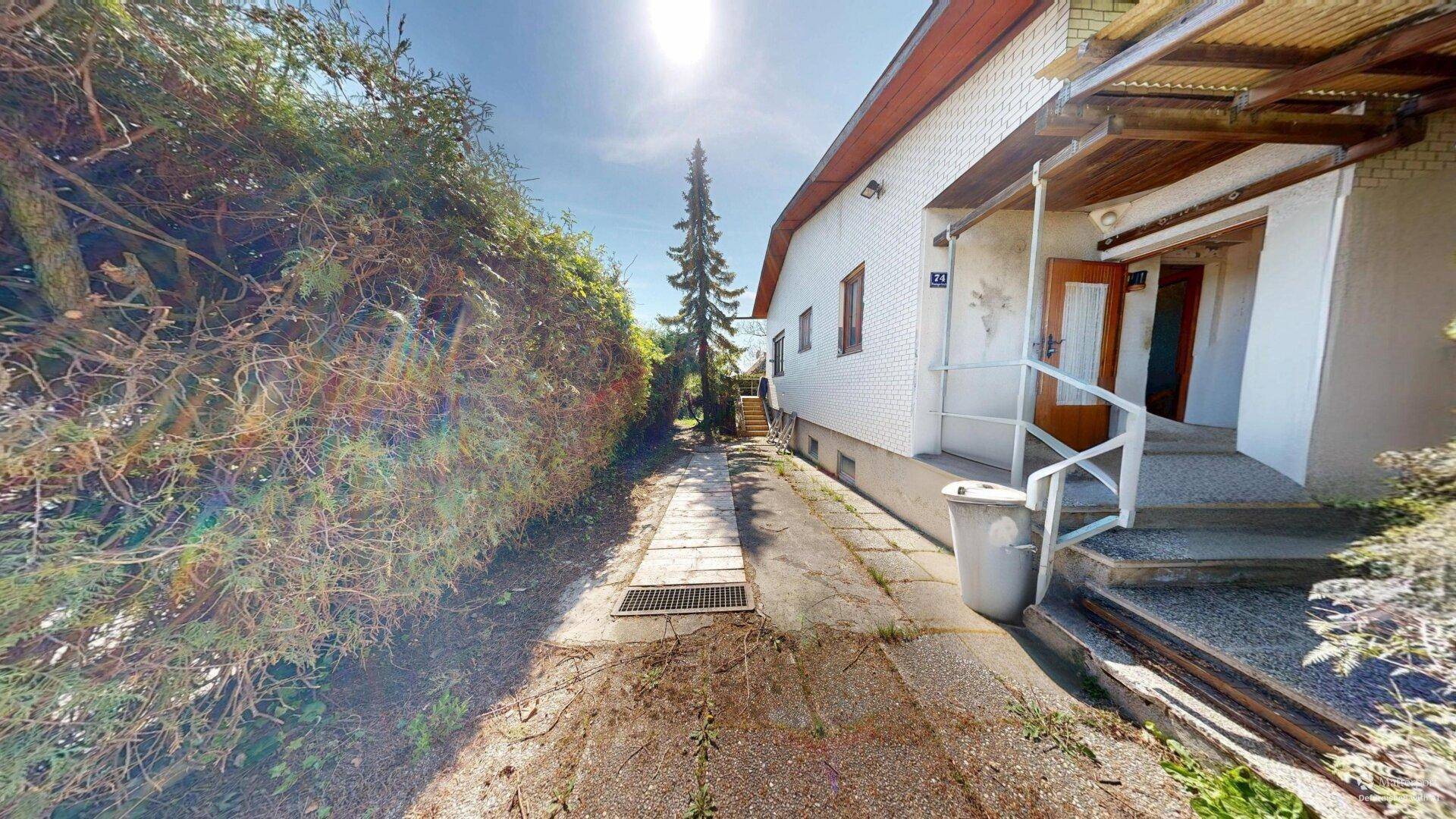 Seitenansicht des Hauses mit Zufahrt, Hecke und Eingangsbereich.