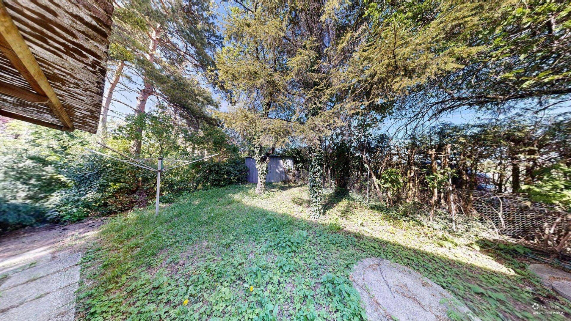Großer, naturbelassener Gartenbereich mit Rasen, Bäumen und viel Grün.
