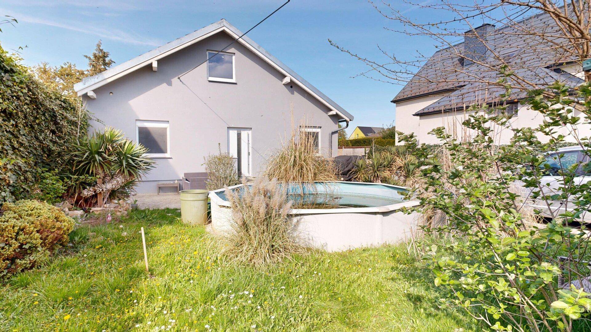 Hinterhof mit Rasenfläche, verschiedenen Pflanzen und einem oberirdischen Swimmingpool.