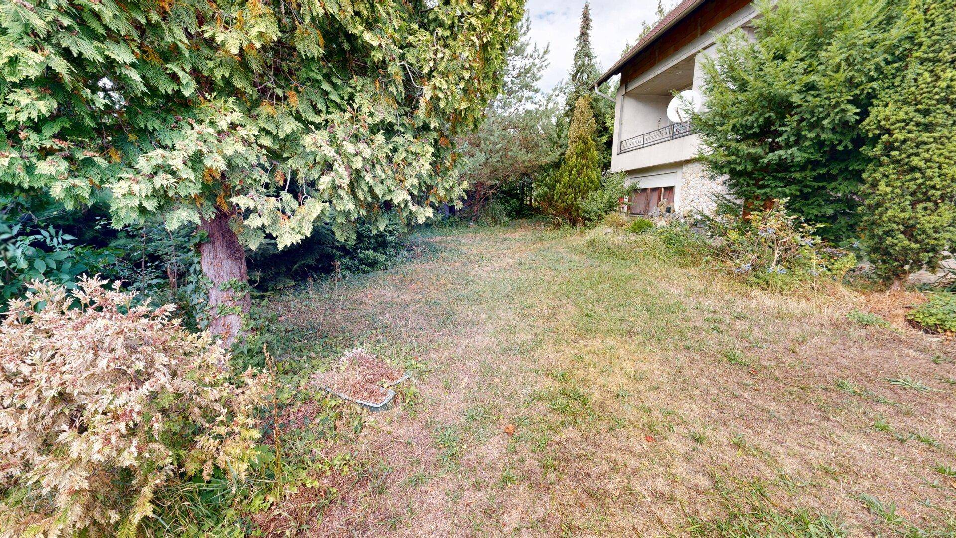 Seitlicher Blick auf den Garten mit Rasenfläche und üppiger Vegetation, angrenzend an das Haus und ruhig gelegen.