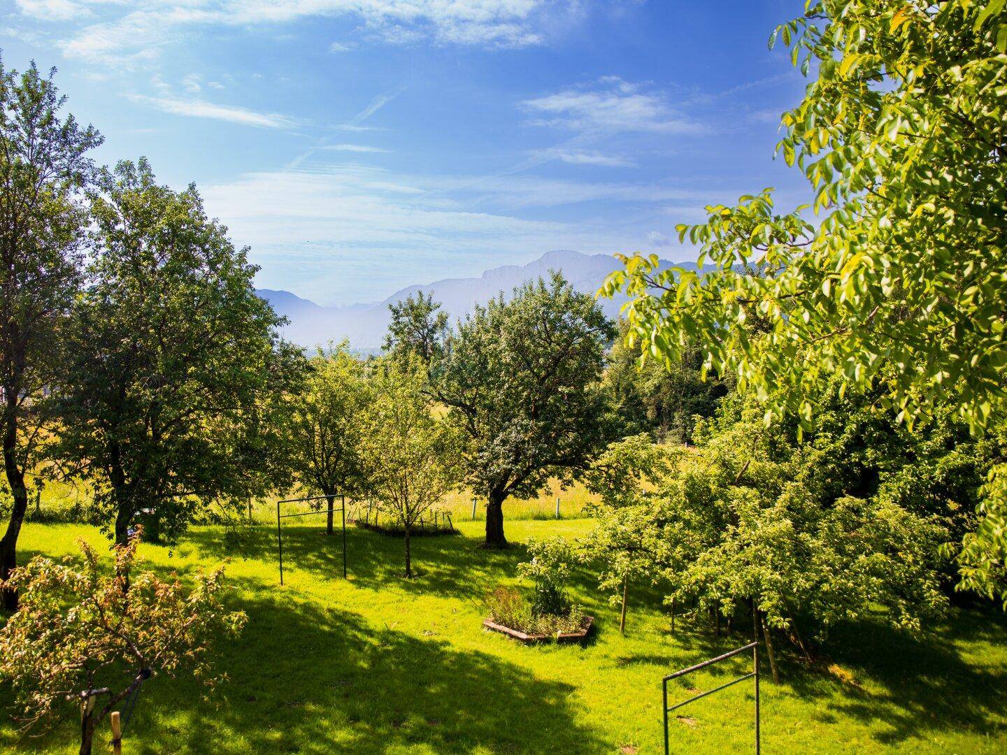 Weitläufiger, sonniger Garten mit zahlreichen Bäumen und einem beeindruckenden Blick auf die umliegende Bergwelt.