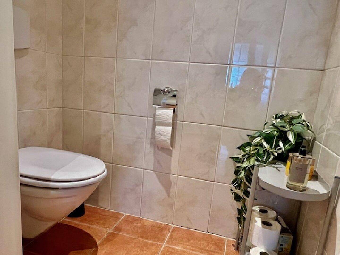 separates WC