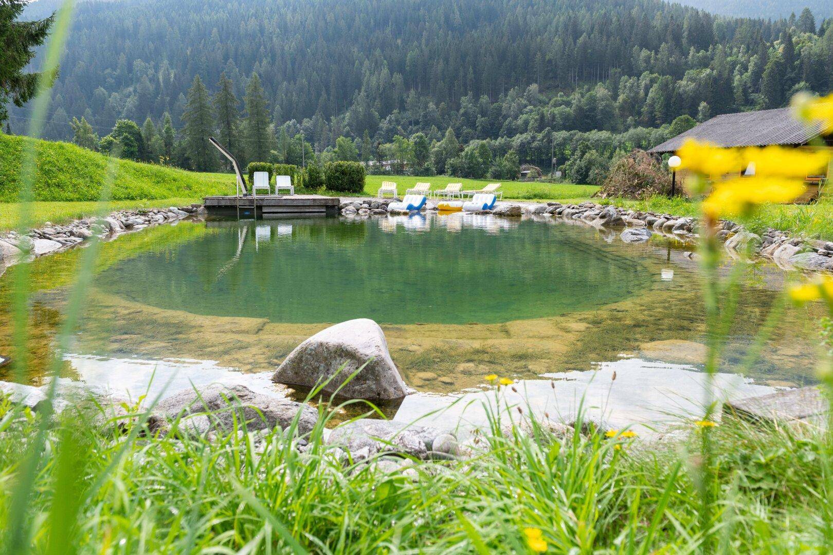 Natürlicher Badeteich umgeben von grünen Wiesen und Bäumen, mit Liegestühlen am Ufer.