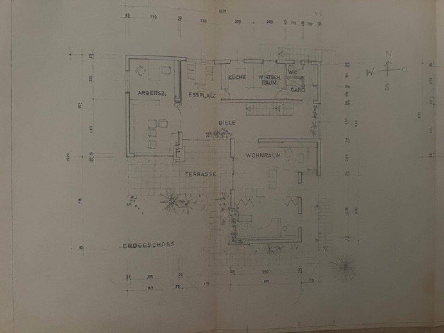Grundriss des Erdgeschosses mit offener Küche, Essbereich, Wohnzimmer und großer Terrasse.