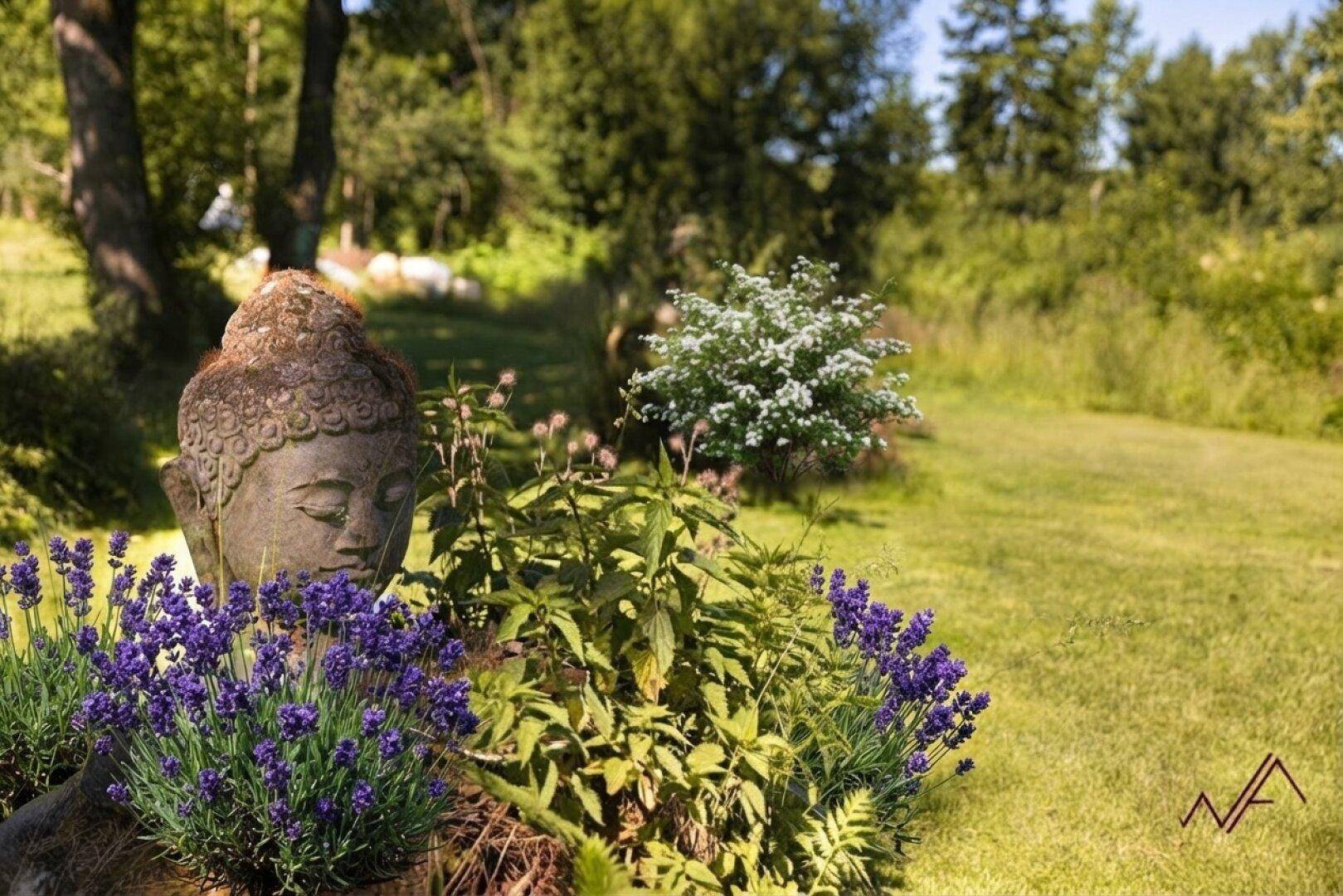Detailaufnahme eines Gartens mit einer Buddha-Statue, umgeben von blühendem Lavendel und Grün.
