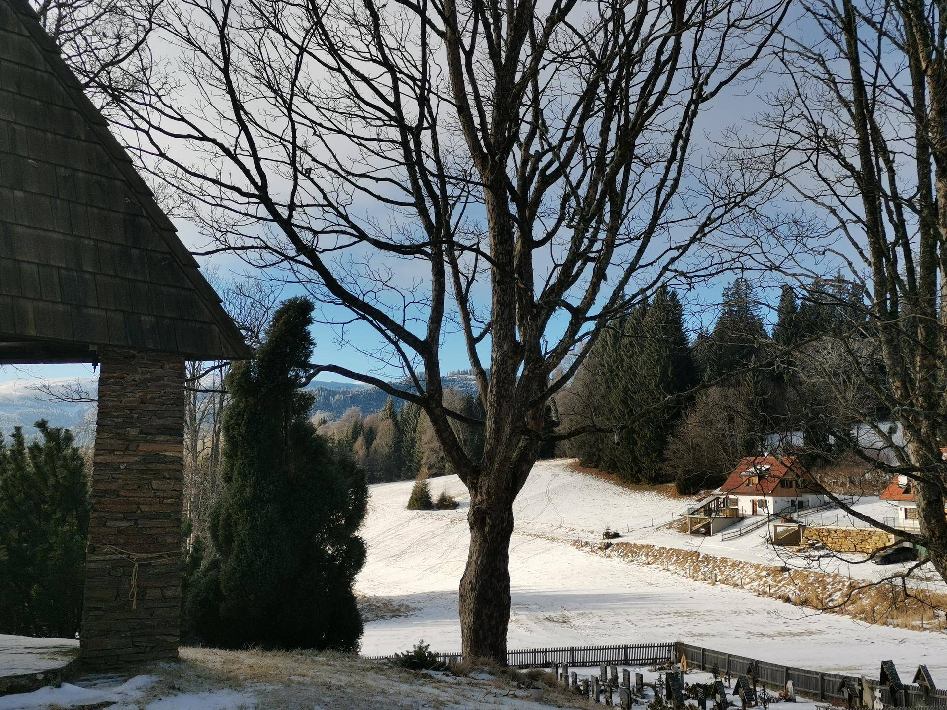 Winterliche Szene mit einem großen kahlen Baum, einem Steingebäude und verschneiten Häusern in der Ferne.