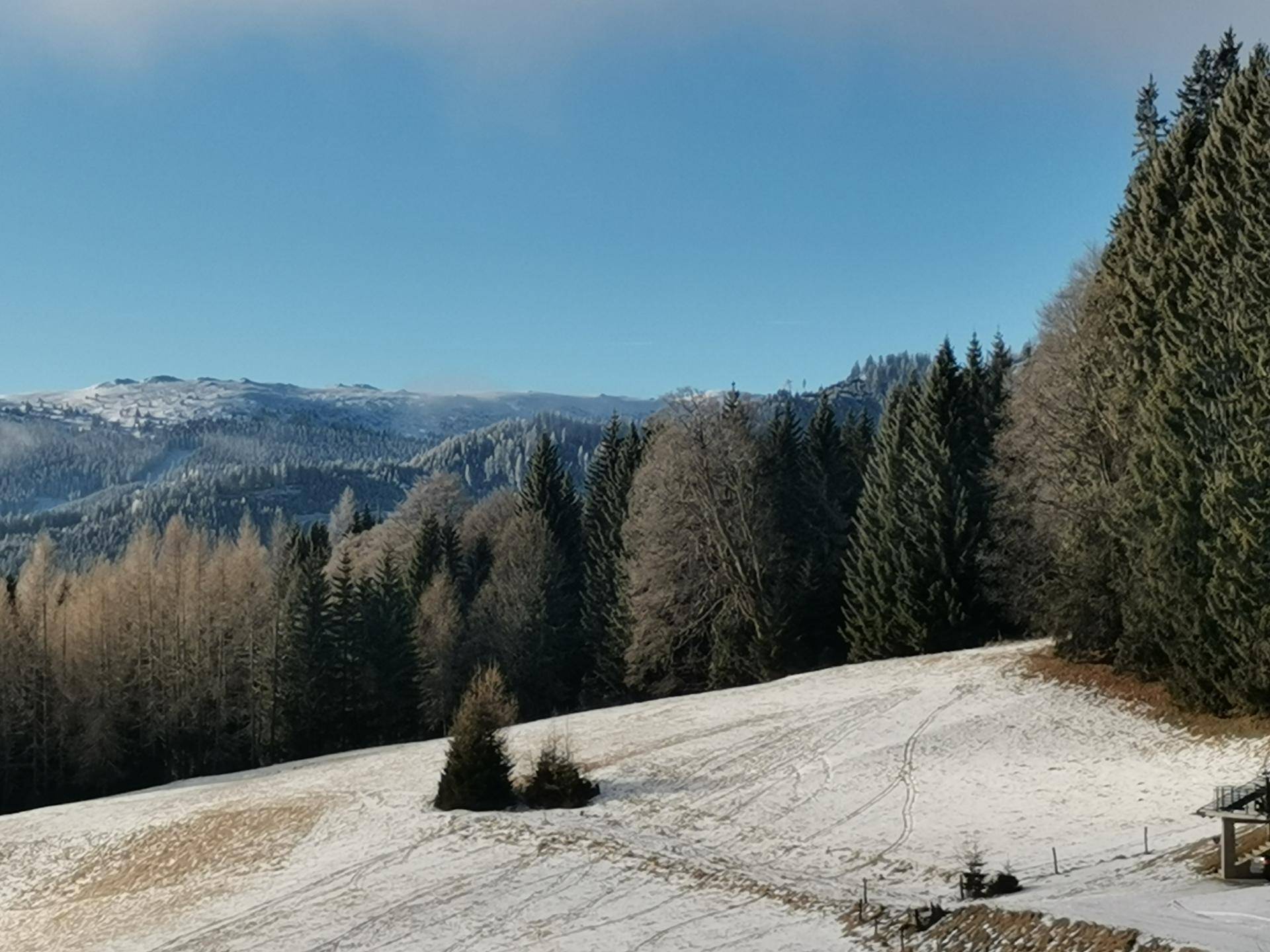 Winterlandschaft mit verschneiten Feldern, dichten Nadelwäldern und schneebedeckten Bergen im Hintergrund.