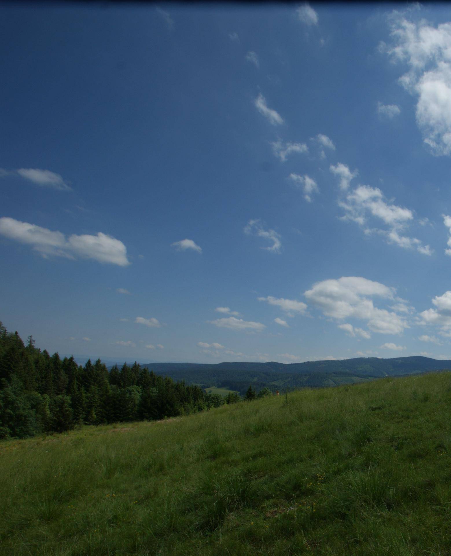 Malerische Landschaft mit grünen Wiesen, dichten Wäldern und einer Bergkette am Horizont unter blauem Himmel.